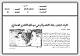 مصغرات