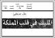 مصغرات