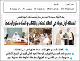 مصغرات