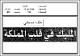 مصغرات