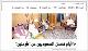 مصغرات