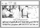 مصغرات