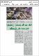 مصغرات
