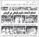 مصغرات