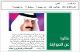 مصغرات