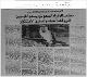 مصغرات