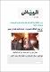 مصغرات