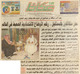 مصغرات