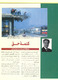 مصغرات