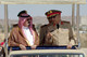 مصغرات