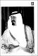 مصغرات
