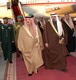 مصغرات