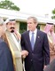 مصغرات