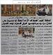 مصغرات