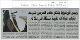 مصغرات