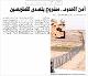 مصغرات